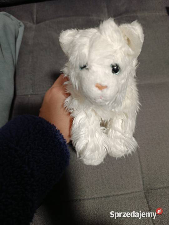 kot biały pluszak maskotka zabawka pluszowa Poznań