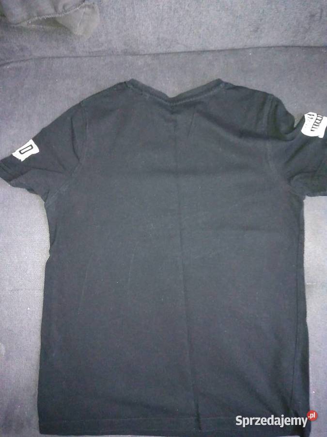 Bluza Cartes Legnica