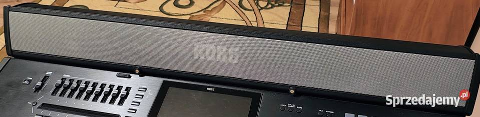 System nagłośnienia Korg PaaS MKII lubelskie Siemień