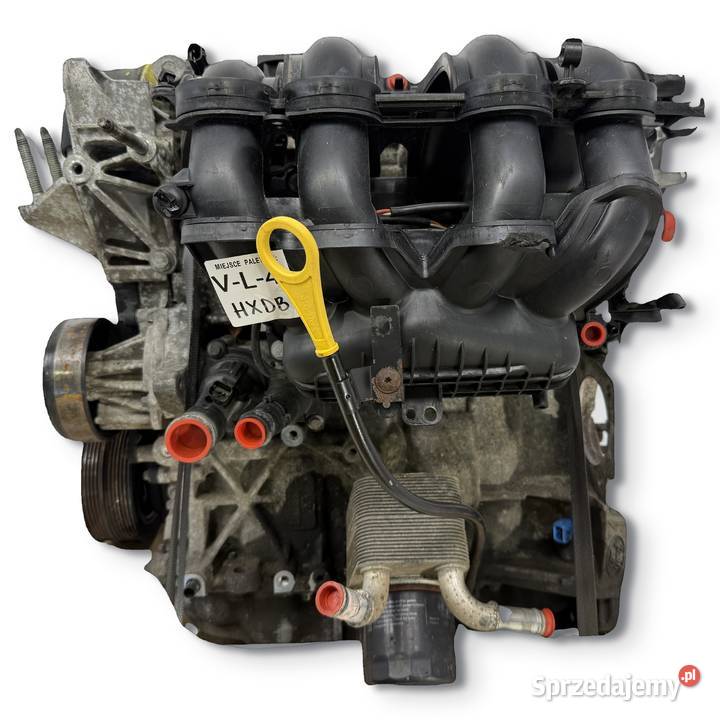 SILNIK HXDA HXDB Ford Focus II MK2 C C 16 16V Ti osobowe Chełm