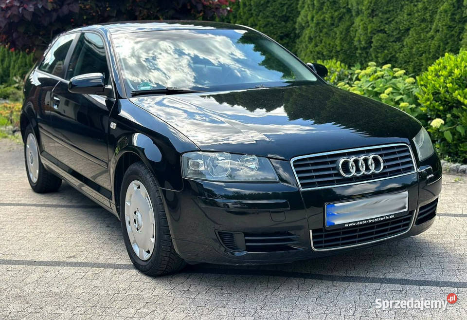 Audi A3 3drzwiowe Audi A3 8P 16 MPI 101 Czarna