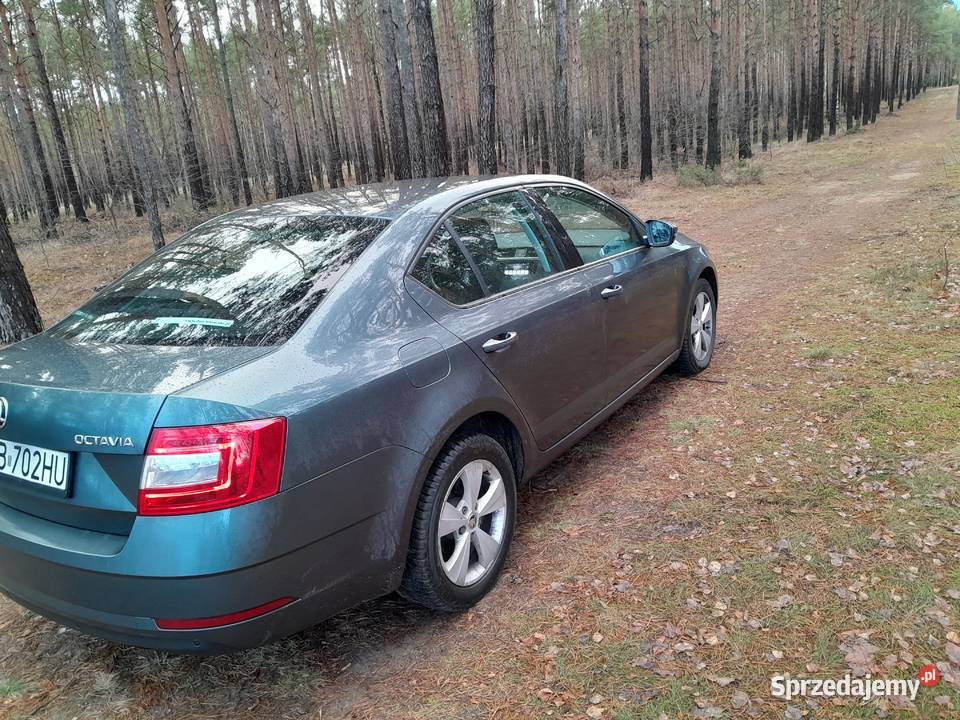 Syndyk sprzeda samochód Skoda 5E Octavia Rok produkcji 2018 Bydgoszcz