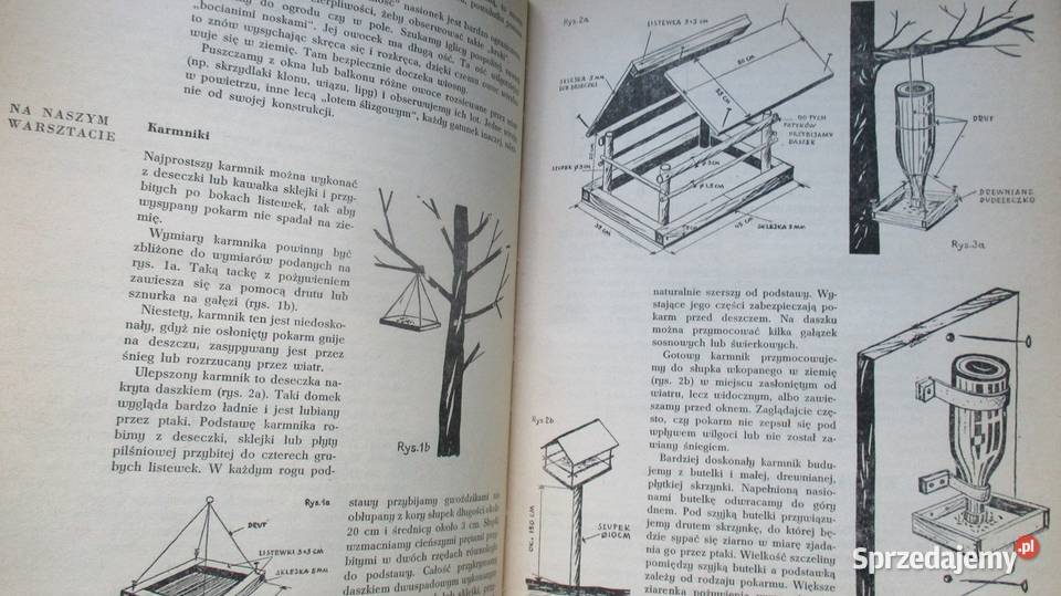 Głos przyrody Kowalewska Kownacka przyroda łódzkie Łódź