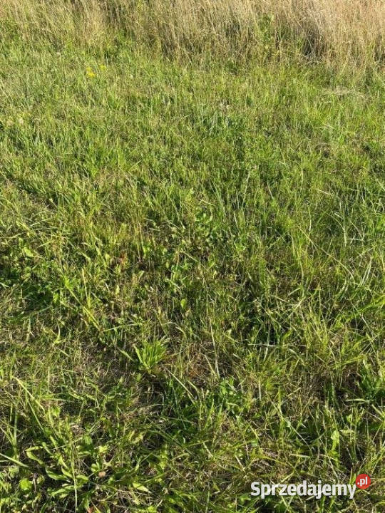 Działka 500m2 Rusinowo