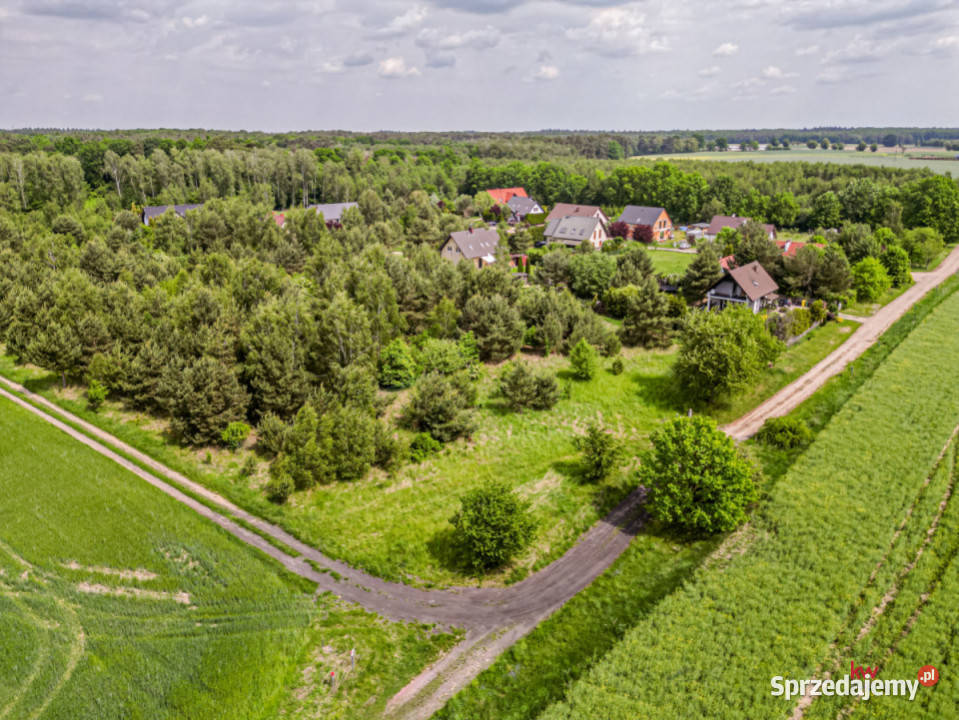 Grunt Długa Goślina 1098m2 sprzedam