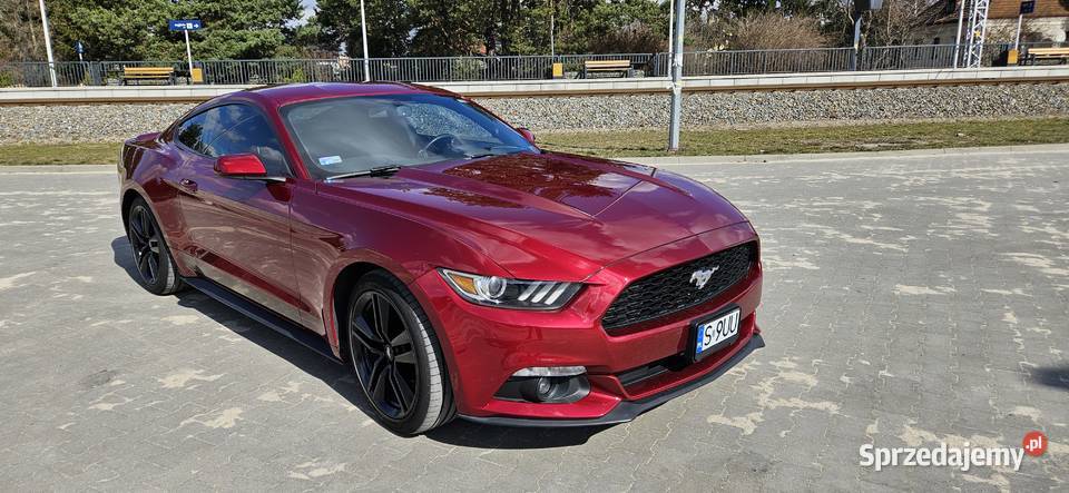Ford Mustang 37 Automat 306 130000km mazowieckie Książenice