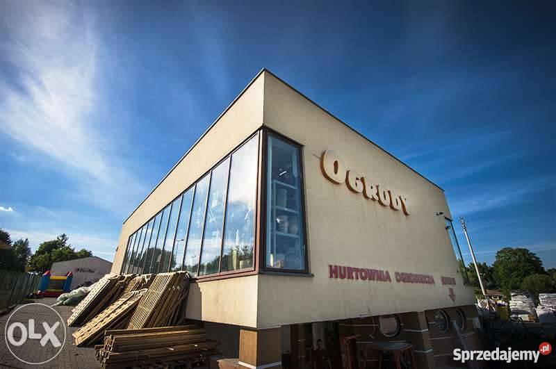 Choinki żywe cięte w donicy jodły świerki DUŻY Gorlice