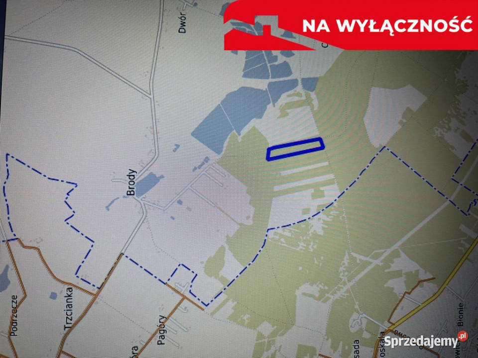 Działka leśna 390 ha w Brodach gm Pierzchnica Brody