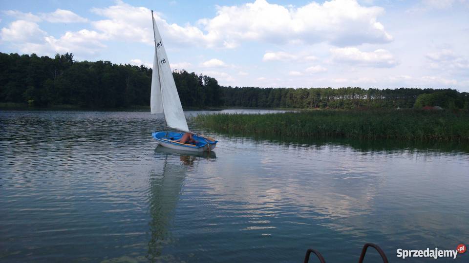 Tania żaglówka Żeglarstwo Poznań