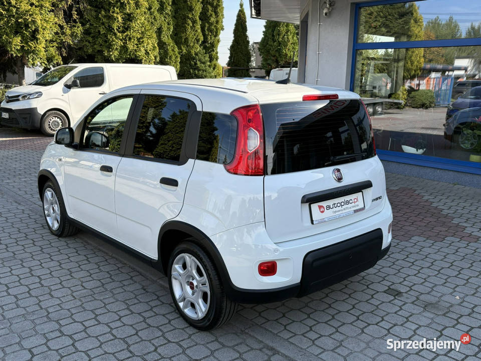 Fiat Panda 12 Klima Czujniki Duże radio przyciemniane szyby Panda Tarnowskie Góry