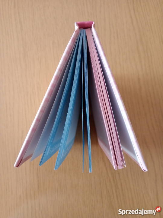 Notes 2kolorowy z misiem dziewczynka kieszonkowy Dąbrowa Górnicza sprzedam