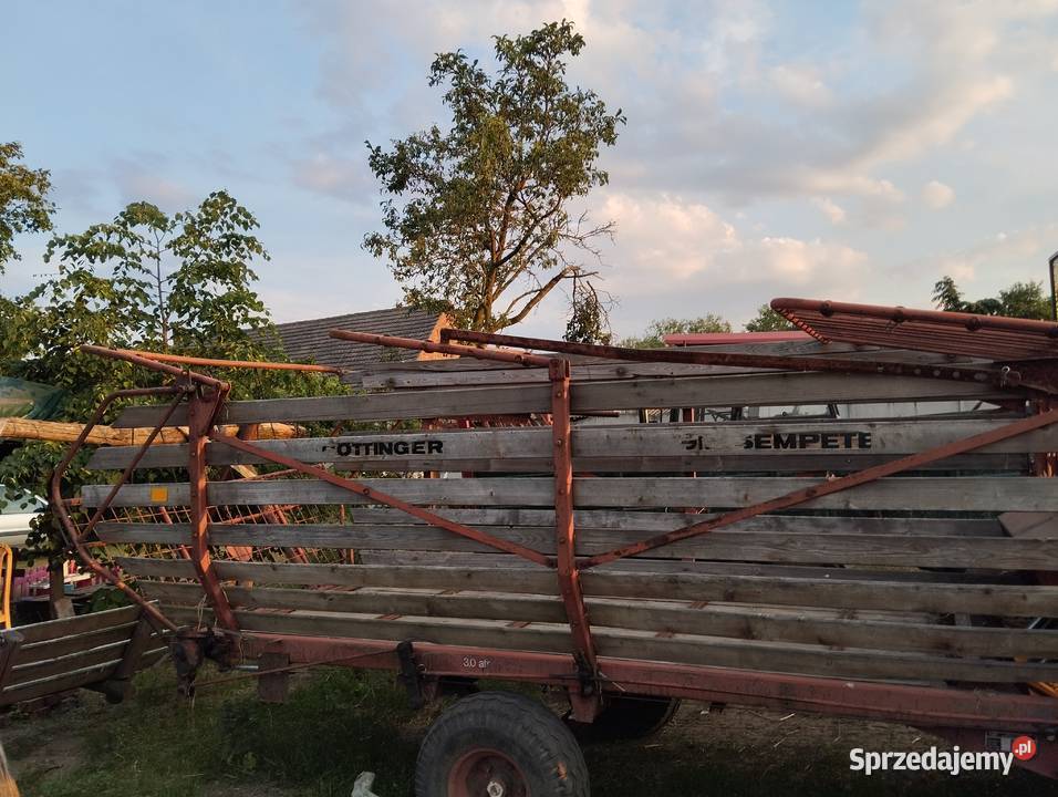 Sprzedam Pleszew sprzedam