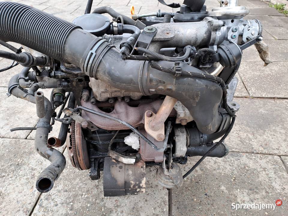 Audi A3 8L 19 TDi 110 silnik kompletny kod ASV Rok produkcji 2000 sprzedam