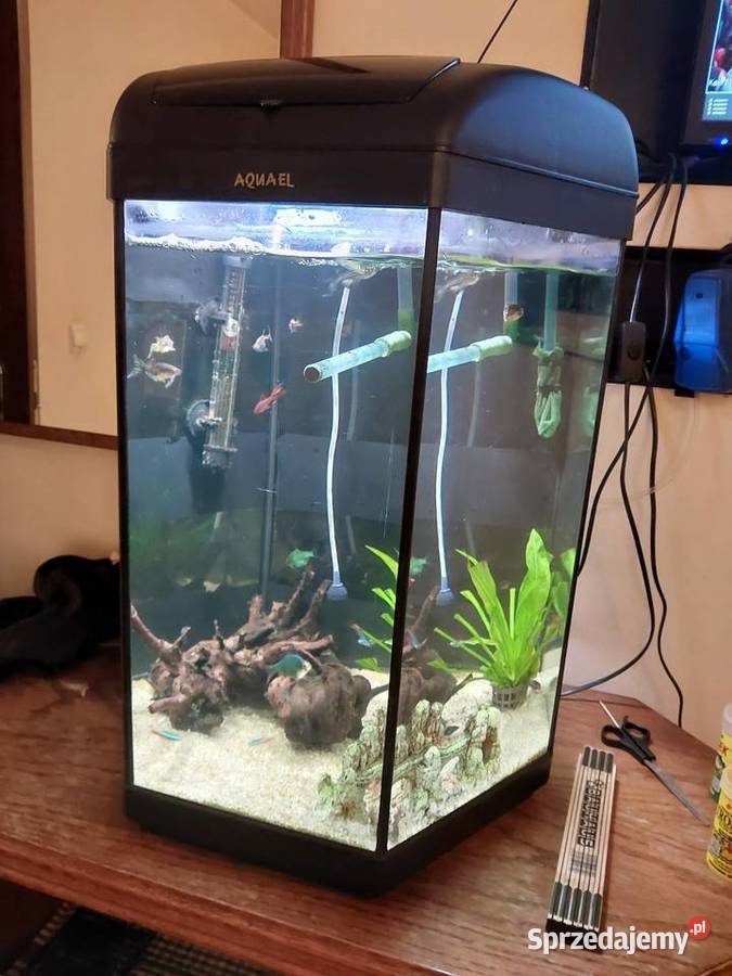 Akwarium 60 l oświetlenie napowietrzacz