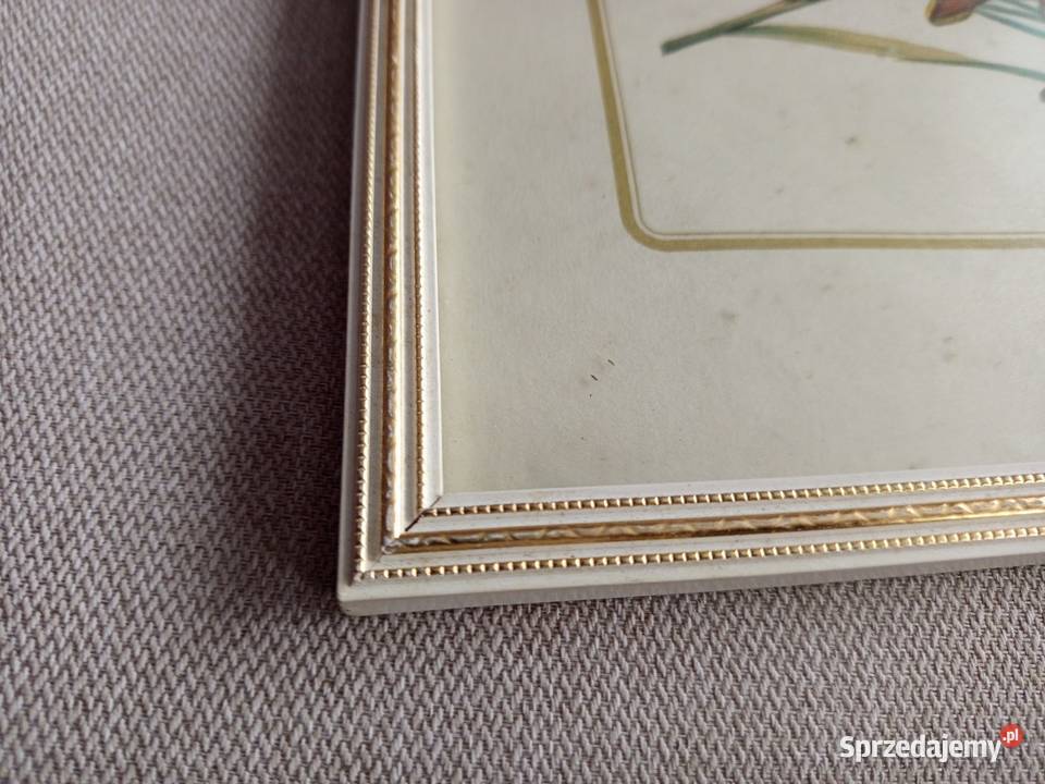 Stylowe 2 obrazki botaniczne przedstawiające mazowieckie Warszawa