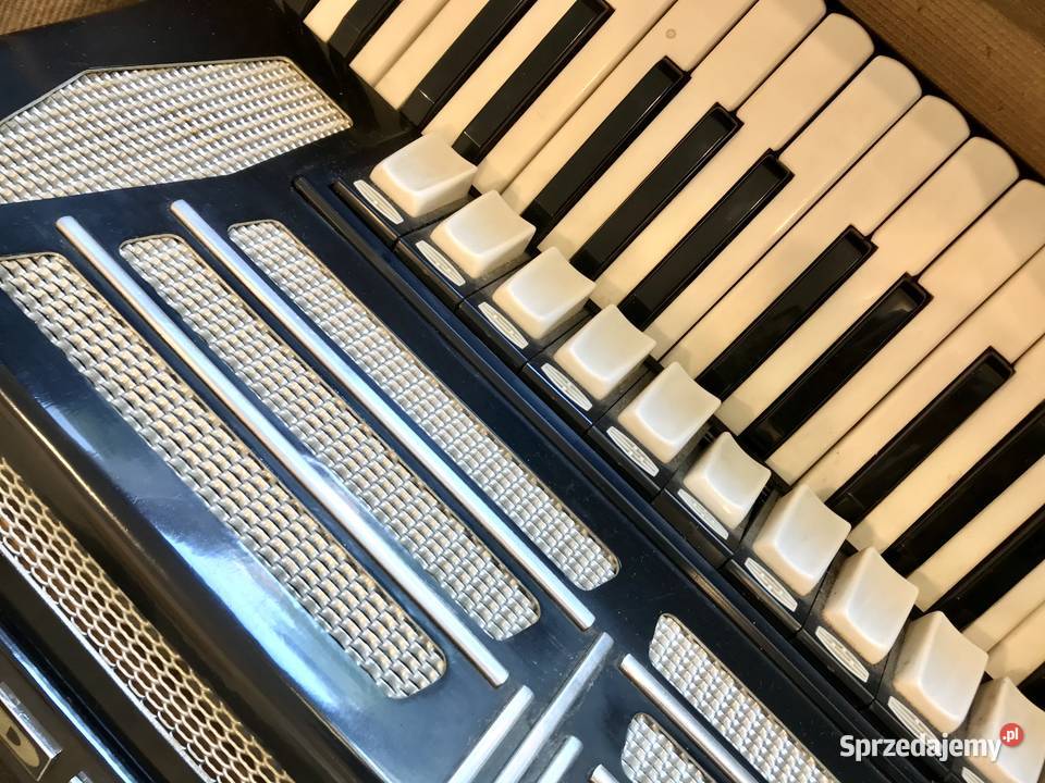 DELICIA Choral XIV AKORDEON 120 basów WALIZKA Instrumenty klawiszowe i MIDI Warszawa sprzedam