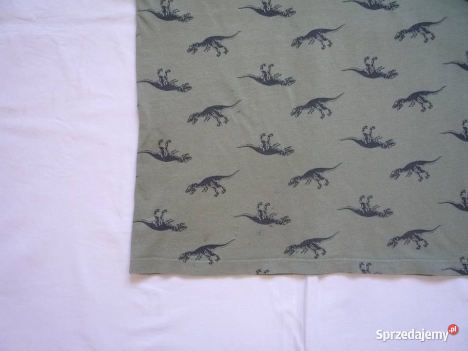 HM 134140 Zielona khaki Koszulka Dinozaury zielony Szczecin