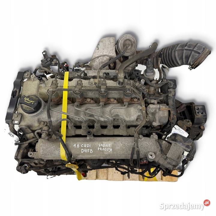 SILNIK D4FB Hyundai i20 i30 16 CRDI 115 diesel Chełm