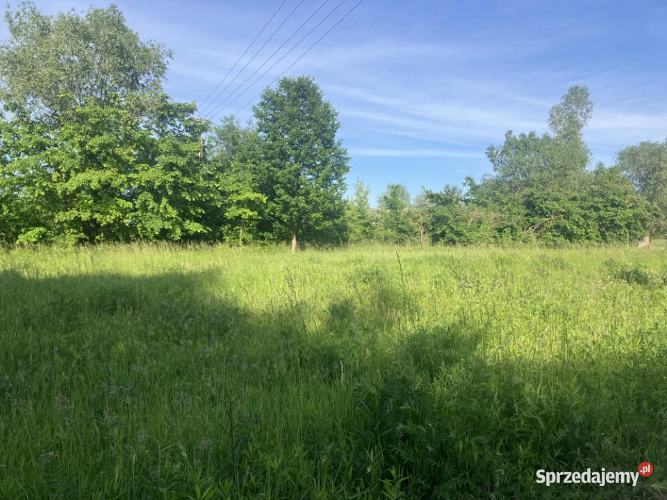 Działka wiejska Wisłą NATURA 2000 Stare Gniewniewice