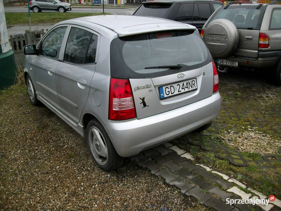 Kia Picanto Automat I 20042010 Motoryzacja Katowice