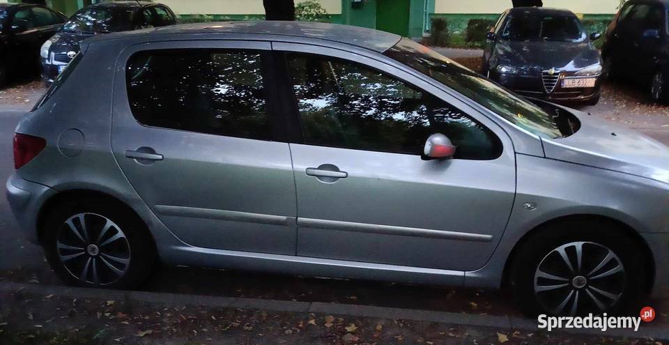 Peugeot 307 lubelskie