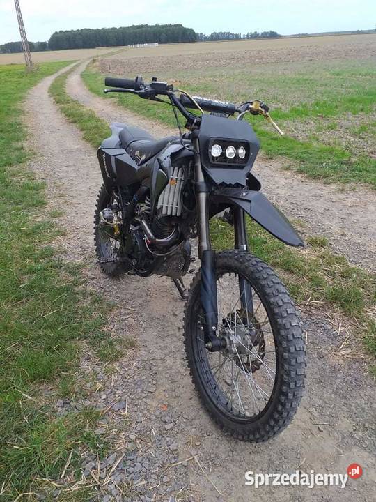 Diabolini 250 Szprotawa