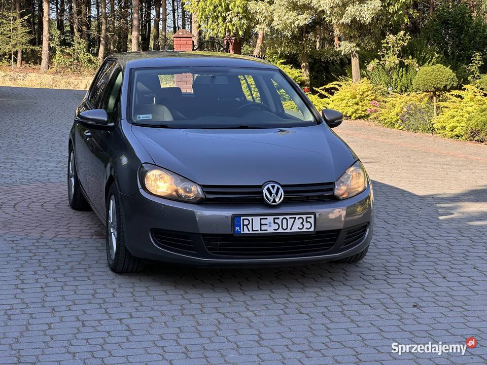 Volkswagen Golf VI 16 TDI BlueMotion ogranicznik prędkości Żołynia