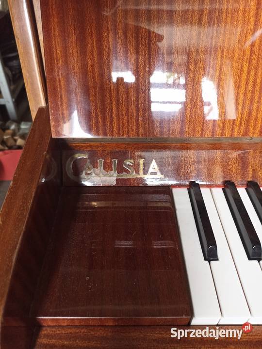 Stare pianina Eisenberg i Calisia Szczecin