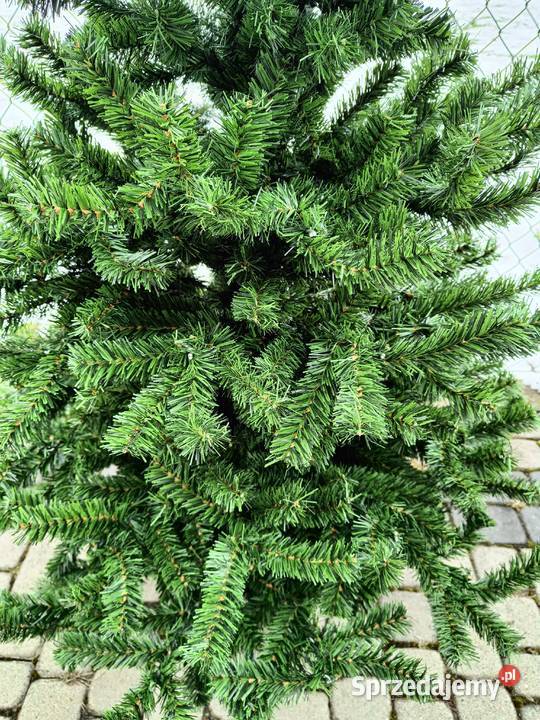 CHOINKA 180 żywa Gęsta zielona świąteczna Brzostek