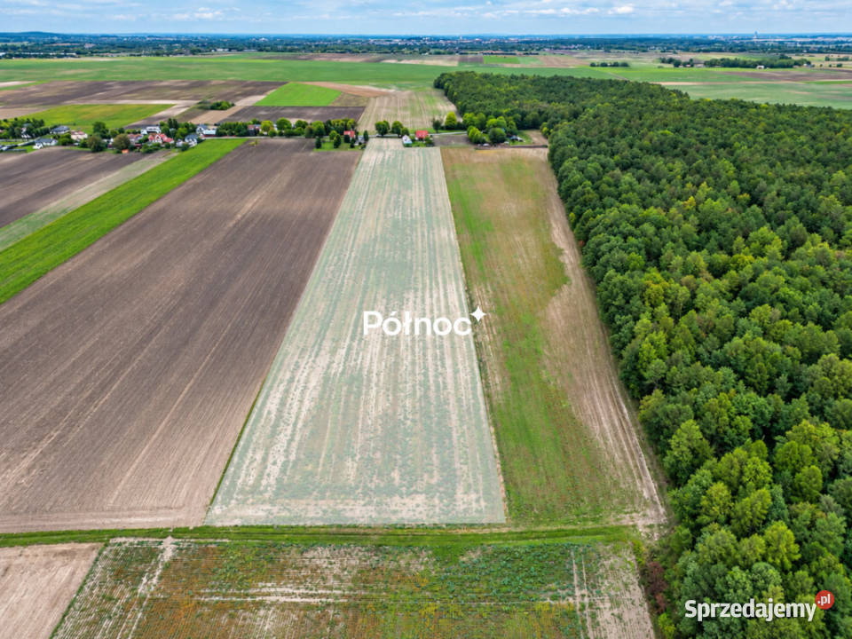 Duża działka 33 ha z częścią pod zabudowę 67m Sprzedaż