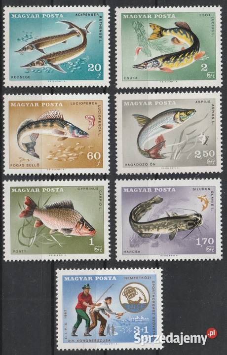 WĘGRY Wędkarstwo 1967 CZYSTE Filatelistyka Filatelistyka Łódź