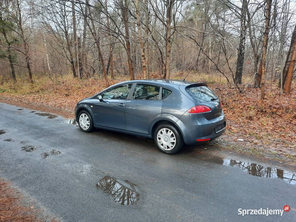 Seat Leon 2007 105KM