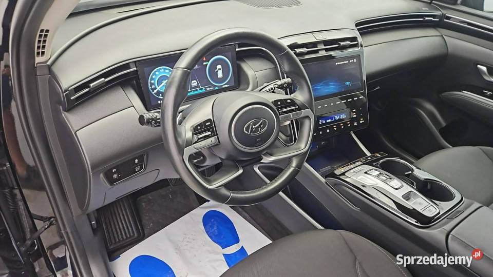 Hyundai Tucson 16 TGDi HEV Executive 2WD Z
