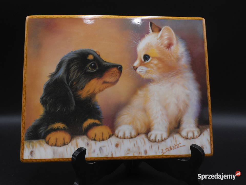 Obraz na porcelanie kot pies Bradford autor J Raszków