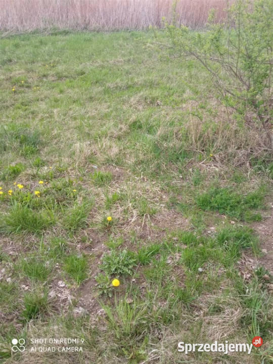 Jasionka działka z WZ 1861 ar Sprzedam budowlana Trzebownisko