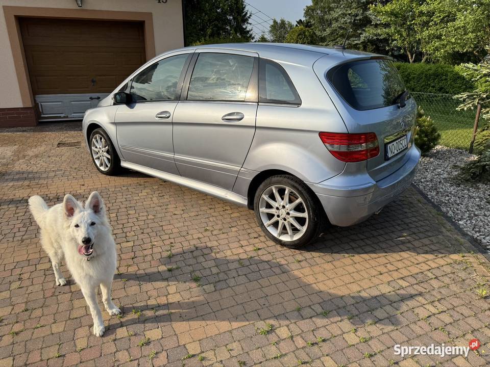 MercedesBenz B150 Trąbki Wielkie
