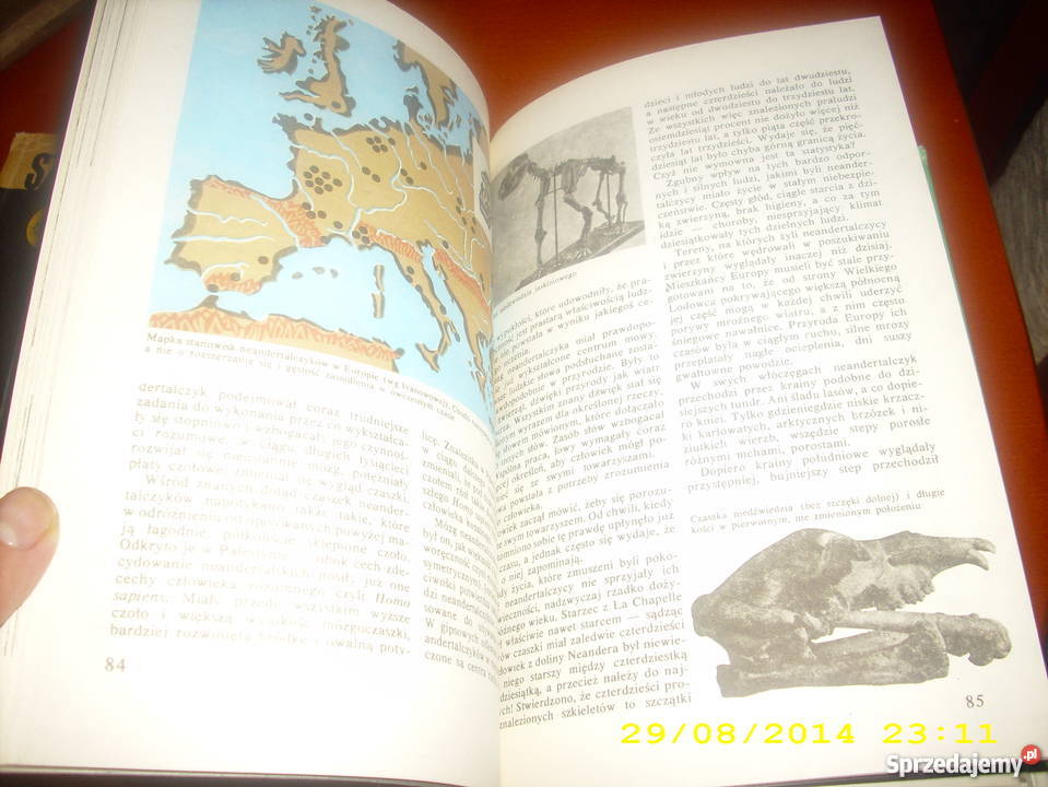 Skąd przychodzisz Adamie J Kleibl Rok wydania 1981 Goleniów