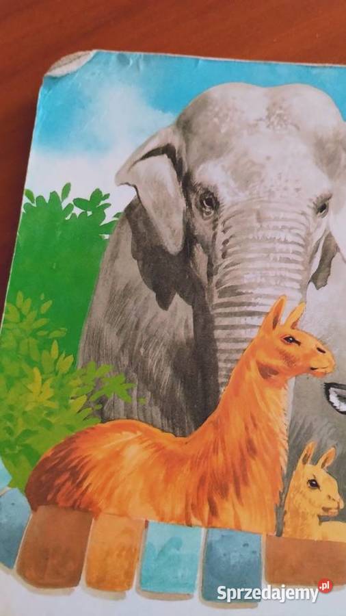 małpka i inne zwierzęta w zoo Książki i Podręczniki wielkopolskie Poznań sprzedam
