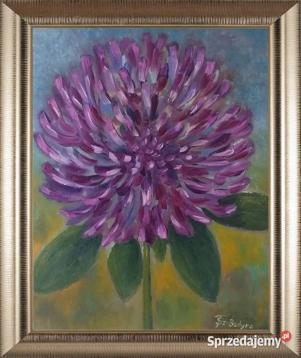 Obraz olejny Koniczyna Lublin