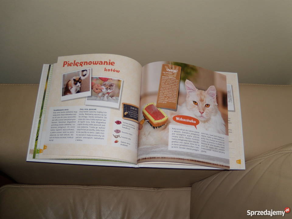 Claudia Toll Mój kotek Rok wydania 2016 Warszawa