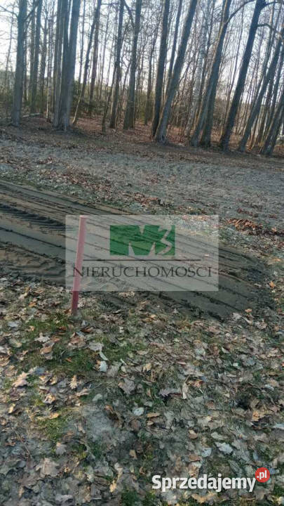 NA SPRZEDAŻ DZIAŁKA W OTOCZENIU LASU W JELNEJ podkarpackie Jelna