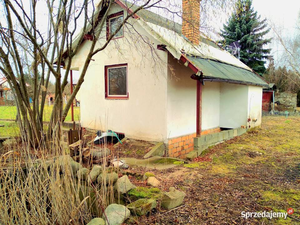Działka ROD Sahara z domkiem 585m2 dolnośląskie Lubin