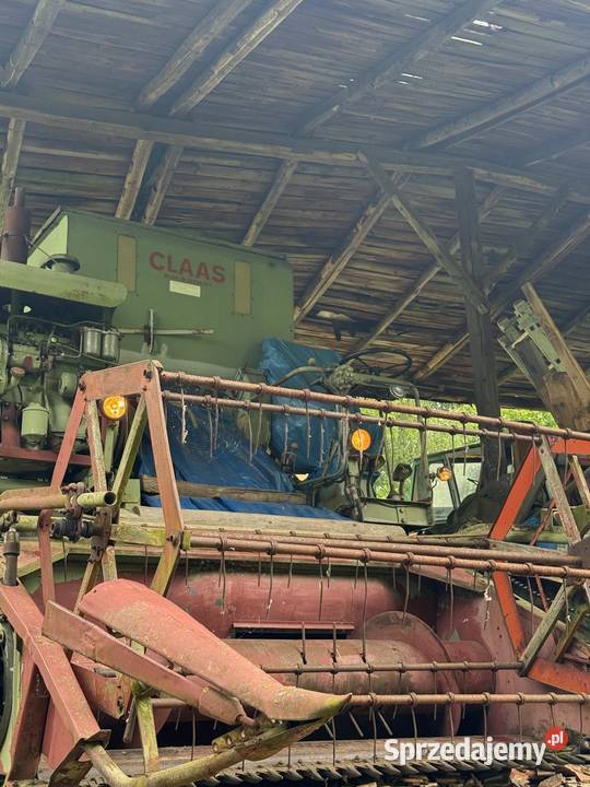 Kombajn zbożowy Class Europa dolnośląskie Radostów Średni