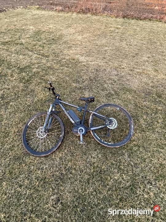 Rower bergamont elektryczny Gałęzów-Kolonia Druga