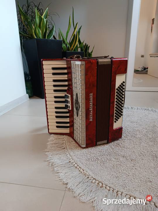 Akordeon royal standard 60 Pozostałe Ropczyce