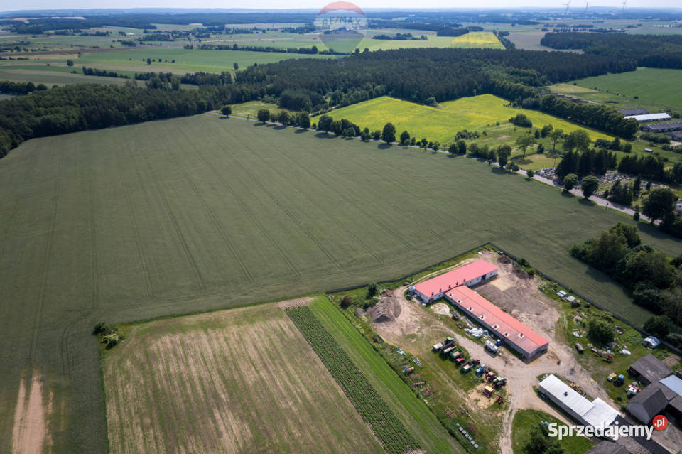901 ha MPZP produkcja logistyka 1 S7 235m Białuty