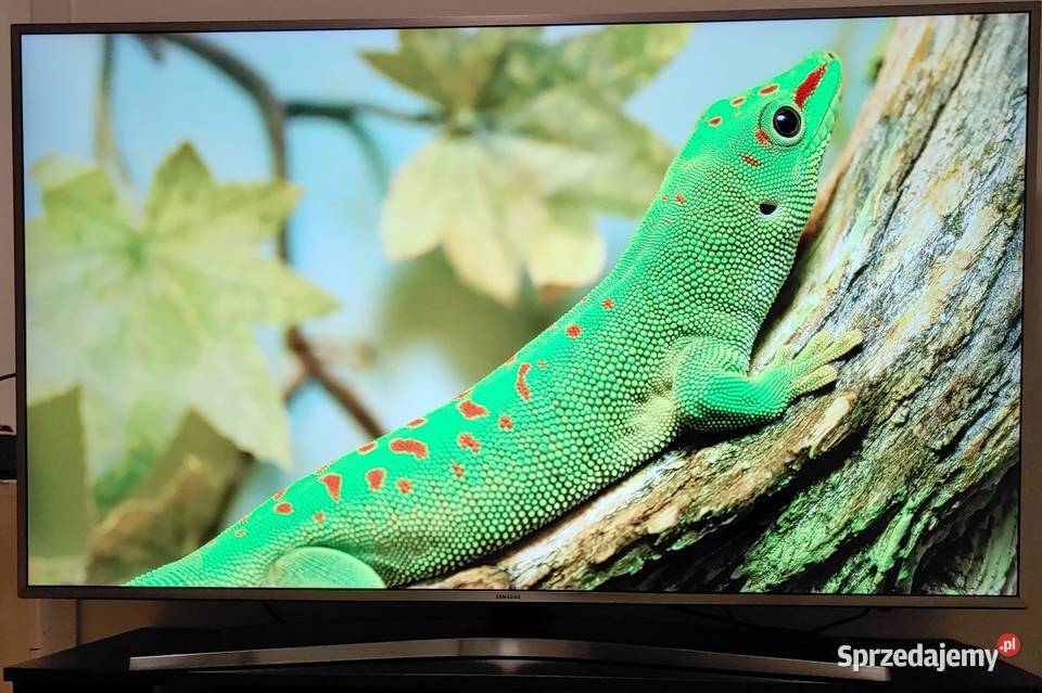 Samsung Smart TV 55 Wągrowiec