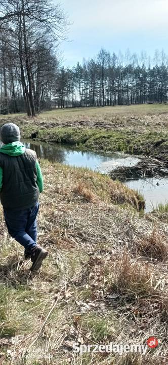 Dolina Liwca i Natura 2000 sasiedzku