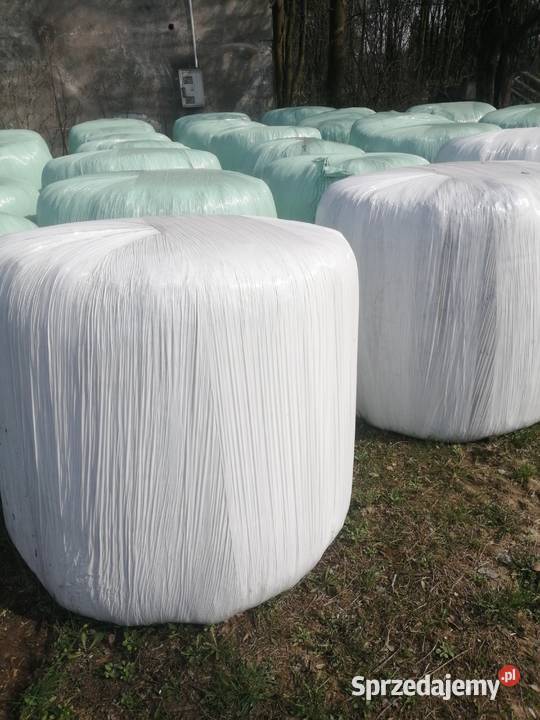 Kiszonka w balotach Pińczów