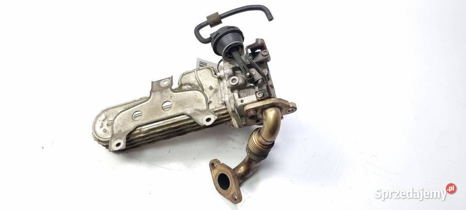 CHŁODNICA EGR SKODA OCTAVIA II 036131513AD Pozostałe